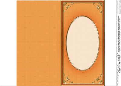 Dl 'gold Metallic Frame' Card Front or Insert