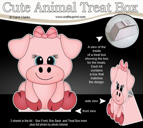 3D Cute Animal Treat Box Gift Set Mini Kit - Cute Little Zoe Piggy
