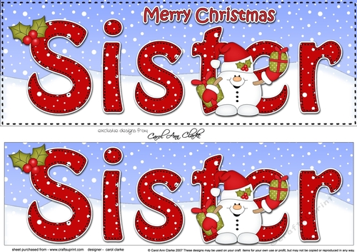 Large DL Merry Christmas SISTER 3D decoupage 