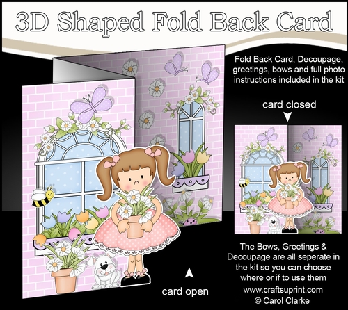 3D Shaped No-Hole Fold Back Mini Kit -  Country Cottage Girlz Liz has a Pot of Pretty Flowers