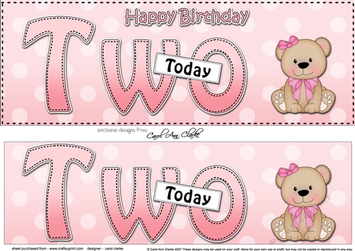 Large DL Happy Birthday TWO TODAY 3D decoupage