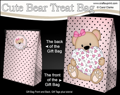 3D Gift Bag Mini Kit - Cute Little Livvy Bear