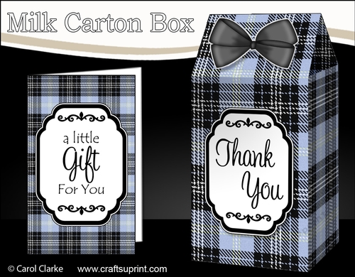 3D Tartan Milk Carton Treat Box Mini Kit