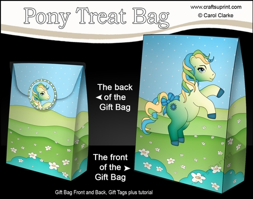 3D Gift Bag Mini Kit - Cute Little Pony Summer Breeze 