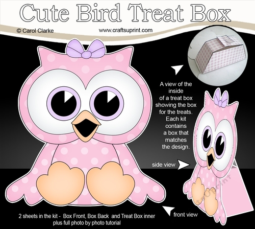 3D Cute Bird Treat Box Gift Set Mini Kit - Cute Little Olla Owl