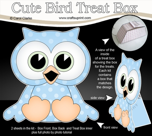 3D Cute Bird Treat Box Gift Set Mini Kit - Cute Little Oscar Owl