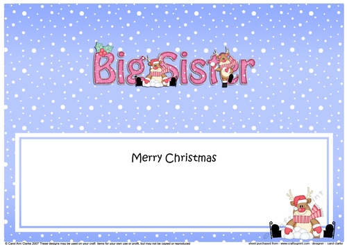 Large DL Merry Christmas BIG SISTER insert