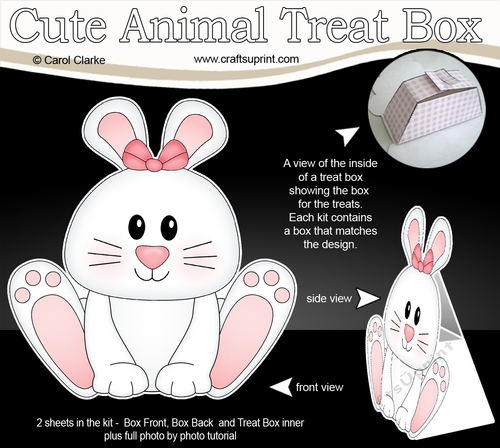 3D Cute Animal Treat Box Gift Set Mini Kit - Cute Little Ipsy Bunny