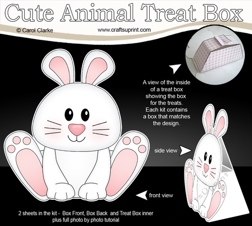 3D Cute Animal Treat Box Gift Set Mini Kit - Cute Little Dipsy Bunny