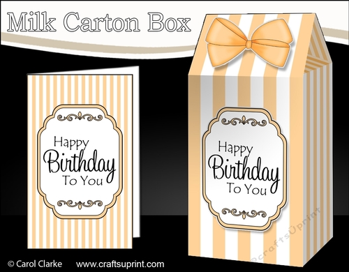 3D Candy Stripe Milk Carton Treat Box Mini Kit