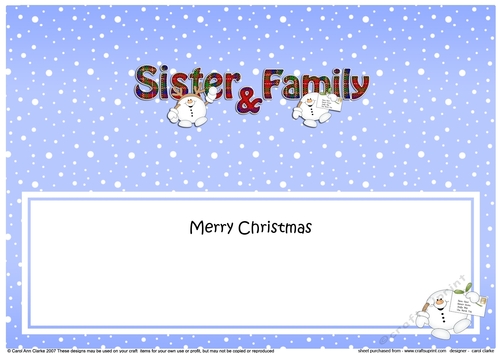 Large DL Merry Christmas SISTER & FAMILY insert