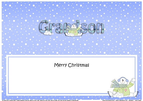 Large DL Merry Christmas GRANDSON insert