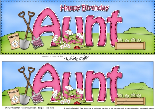 Large DL Happy Birthday AUNT 3D decoupage