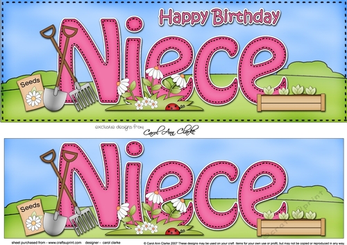 Large DL Happy Birthday NIECE 3D decoupage