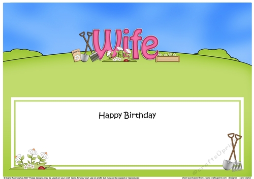 Large DL Happy Birthday WIFE insert