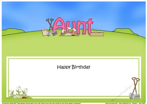 Large DL Happy Birthday AUNT insert