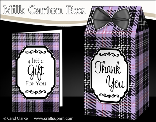 3D Tartan Milk Carton Treat Box Mini Kit