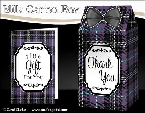 3D Tartan Milk Carton Treat Box Mini Kit