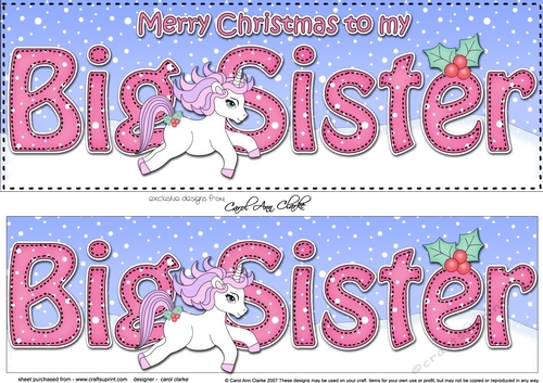 Large DL Merry Christmas to my BIG SISTER 3D decoupage 
