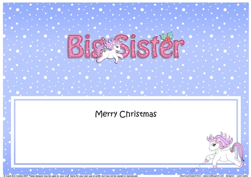 Large DL Merry Christmas BIG SISTER insert