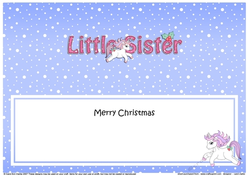 Large DL Merry Christmas LITTLE SISTER insert