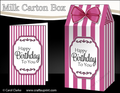 3D Candy Stripe Milk Carton Treat Box Mini Kit