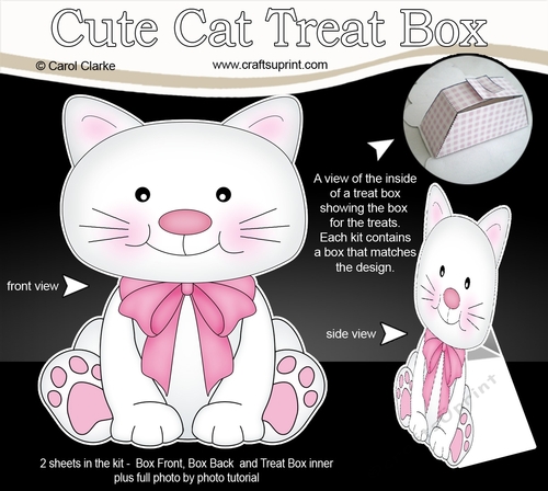 3D Cute Cat Treat Box Gift Set Mini Kit - Cute Little Cat Bella