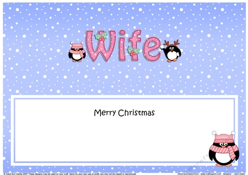 Large DL Merry Christmas WIFE insert