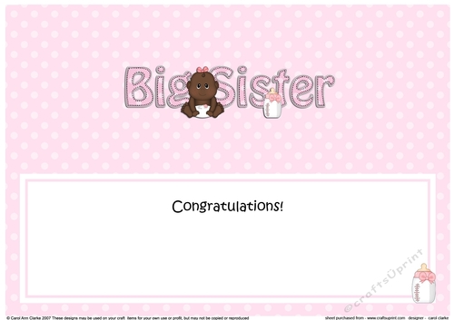 Large DL Ethnic New Baby Congratulations you are a ... BIG SISTER insert