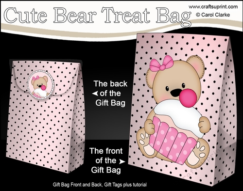 3D Gift Bag Mini Kit - Cute Little Livvy Bear
