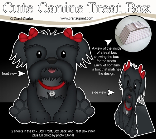 3D Cute Canine Treat Box Gift Set Mini Kit - Little Shih Tzu Dog Star