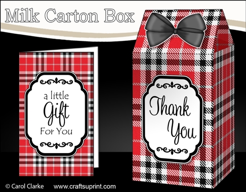 3D Tartan Milk Carton Treat Box Mini Kit