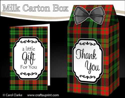 3D Tartan Milk Carton Treat Box Mini Kit