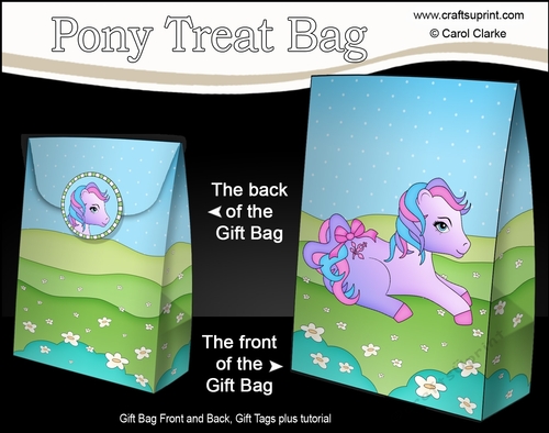 3D Gift Bag Mini Kit - Cute Little Pony Amethyst