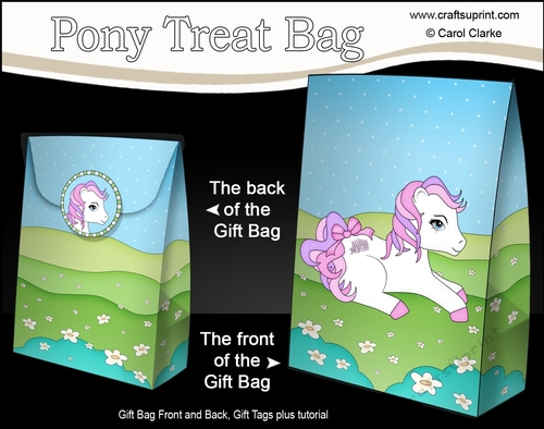 3D Gift Bag Mini Kit - Cute Little Pony Feather