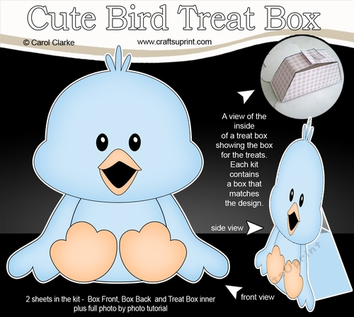 3D Cute Bird Treat Box Gift Set Mini Kit - Cute Little Chick Chirp