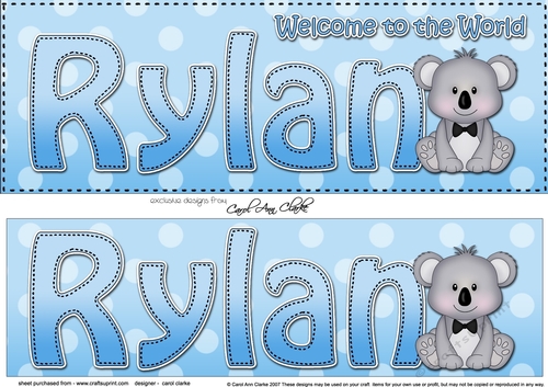 Large DL Welcome to the World RYLAN 3D decoupage