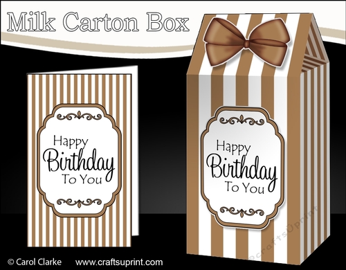 3D Candy Stripe Milk Carton Treat Box Mini Kit