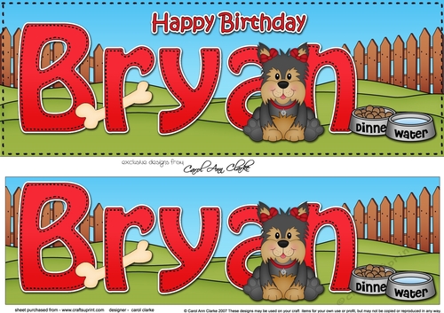 Large DL Happy Birthday BRYAN 3D decoupage