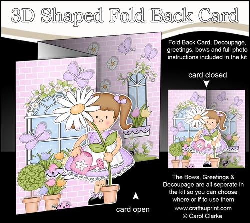 3D Shaped No-Hole Fold Back Mini Kit -  Country Cottage Girlz Liz has a Pretty Flower