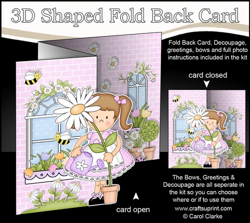 3D Shaped No-Hole Fold Back Mini Kit -  Country Cottage Girlz Liz has a Pretty Flower