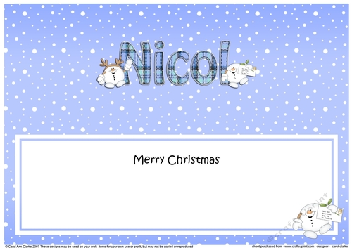 Large DL Merry Christmas NICOL insert