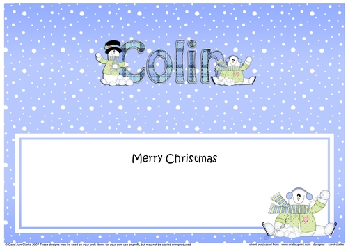 Large DL Merry Christmas COLIN insert