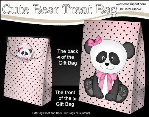 3D Gift Bag Mini Kit - Cute Little Panda Su Ling