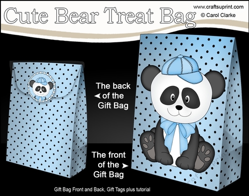 3D Gift Bag Mini Kit - Cute Little Panda Chi Chi