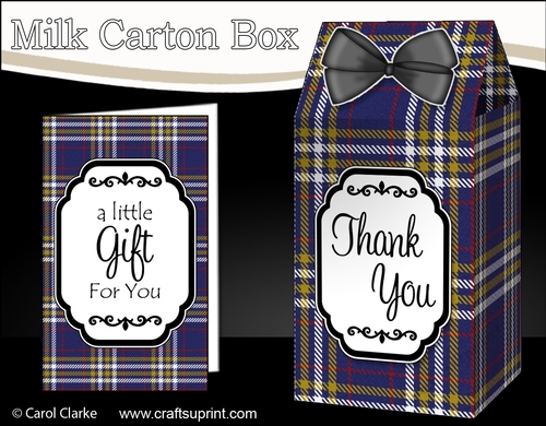 3D Tartan Milk Carton Treat Box Mini Kit