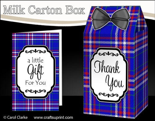 3D Tartan Milk Carton Treat Box Mini Kit