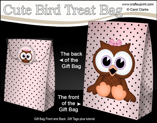 3D Gift Bag Mini Kit - Cute Little Olive Owl