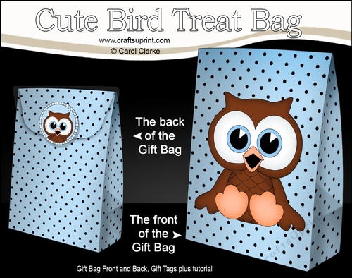 3D Gift Bag Mini Kit - Cute Little Orson Owl