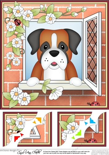 8 x 8 Scalloped Corner Topper - Through the Window - Boxer Dog